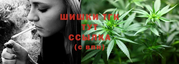 гидра Алексеевка