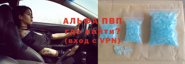 гидра Алексеевка