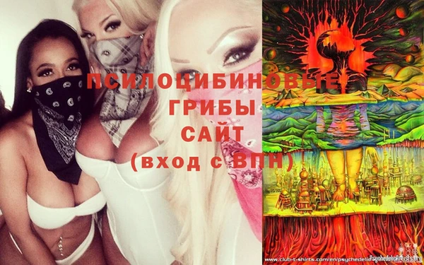 каннабис Алзамай