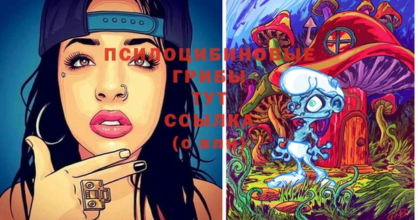 PSILOCYBIN Пестово