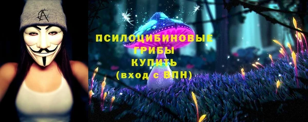 дмт Алексин