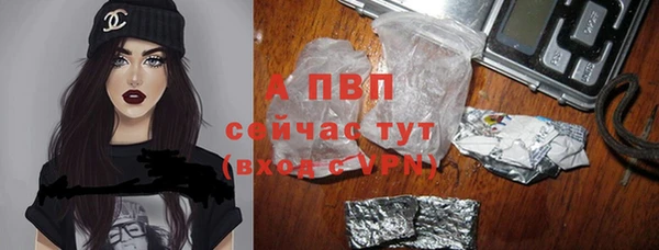 дмт Алексин
